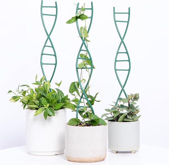 Indoor Plant Trellis by Goooxim