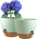 10 inch Self Watering Pots, 2 Pack Plastic Planters by WSMKSZ