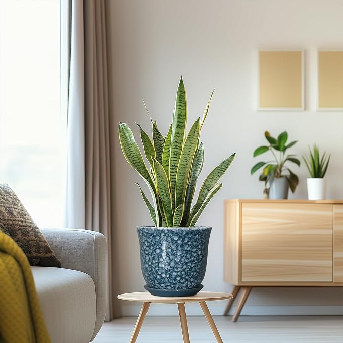 8 Inch Plant Pot - Image 5