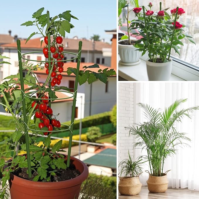 8 Pack Tomato Cage for Garden Plant Support, 18 inches Small Tomato Cages - Image 6