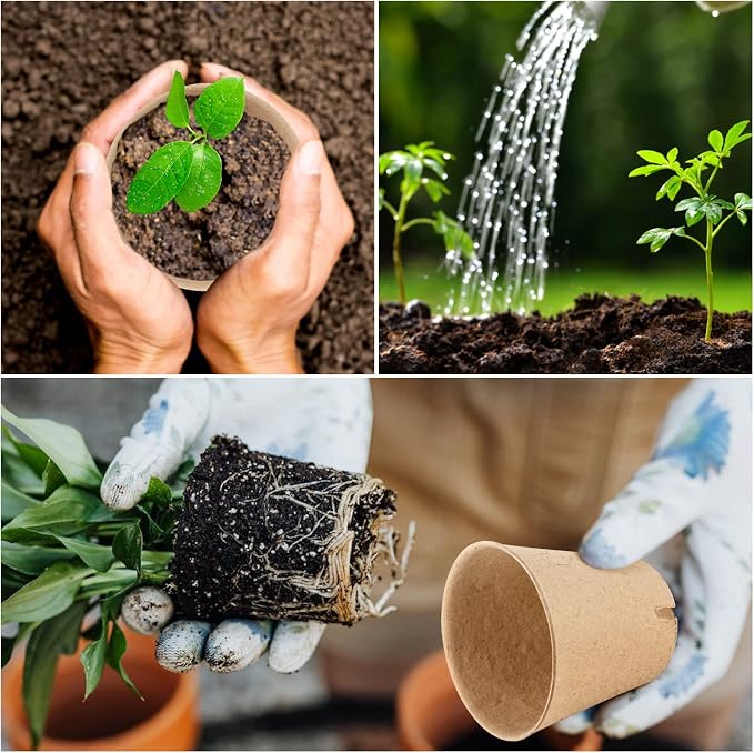 100PCS Peat Pots, 3.15Inch Seed Starting Pots - Image 4
