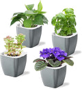 4 Pack Self Watering Pots 4-inch Decorative Flower Planters by Oliz