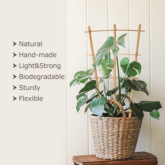 Plant Trellis Indoor 6 Pack Bamboo Trellis - Image 3