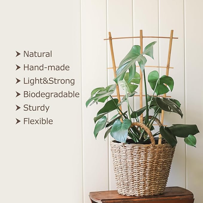 Plant Trellis Indoor, 3 Pack Bamboo Trellises, 16in Fan-Shaped Trellis - Image 2