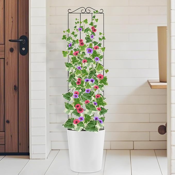 4 Pack 32'' Plant Trellis Indoor - Image 5