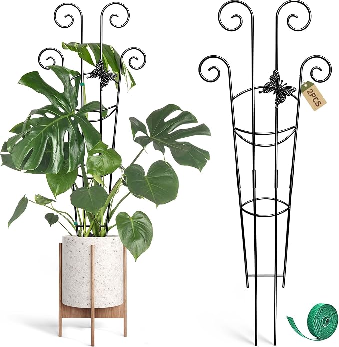 Coomin 32.6in Monstera Plant Support by COOMIN