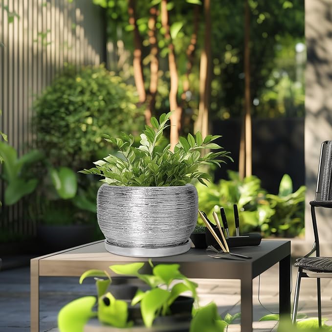 SQOWL Ceramic Pot for Plants - Image 5