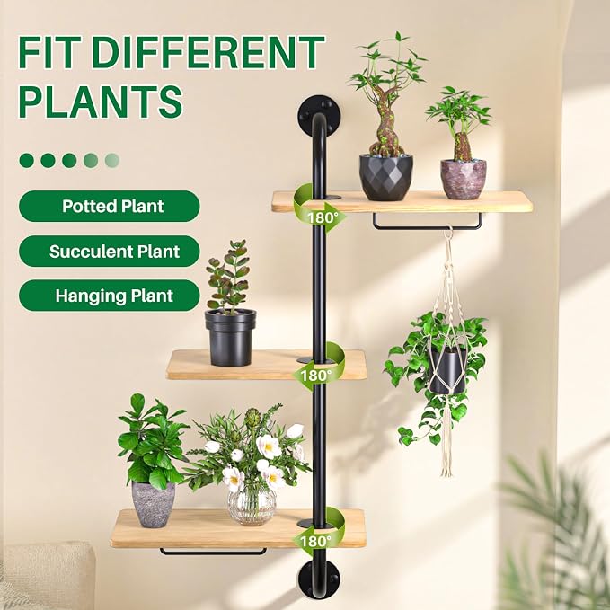 DELLAN Window Plant Shelves, Rotating Plant Shelf - Image 3