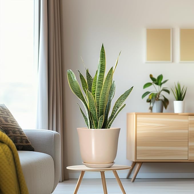 8 Inch Plant Pot - Image 5