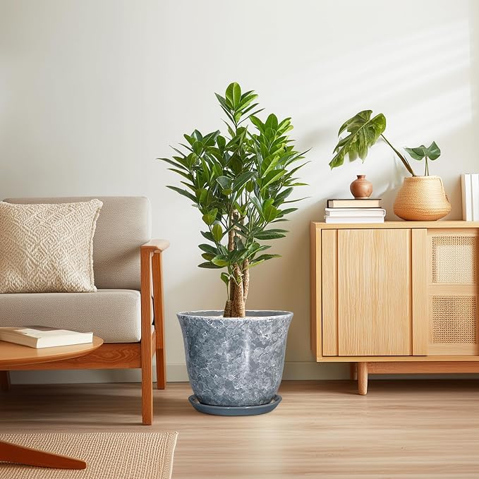 Ceramic Plant Pots - Image 7