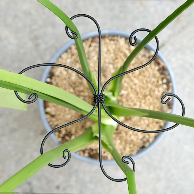 Monstera Plant Stem Support Set by Yohsnor