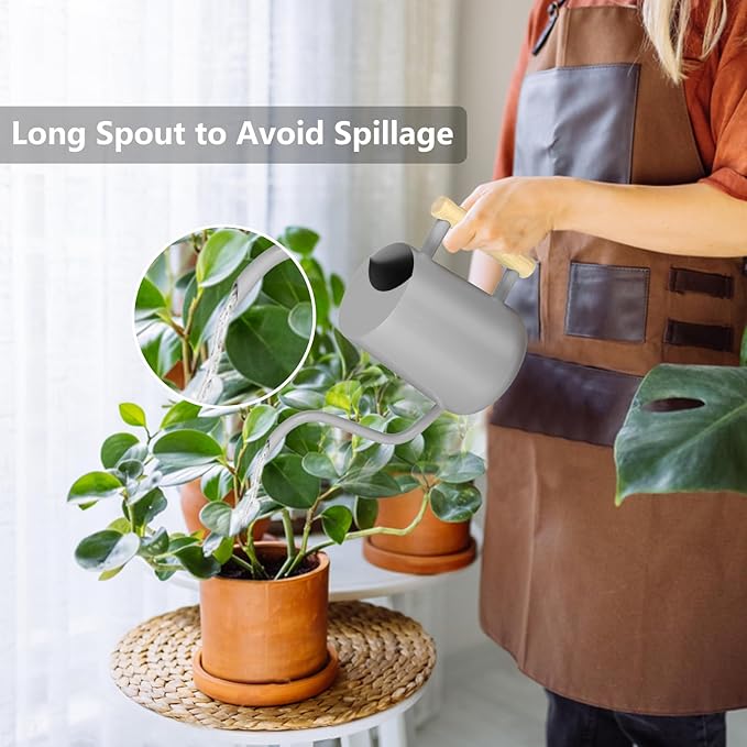 Watering Can Indoor Plants, 35oz Small Indoor Stainless Steel Metal Watering - Image 2