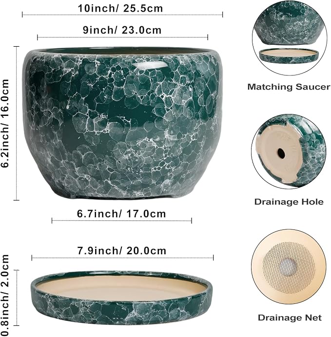 SQOWL 10 Inch Plant Pot - Image 3