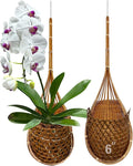 Handmade 100% Thai Bamboo Super Sanctuary Hanging Orchid Basket by Panwa