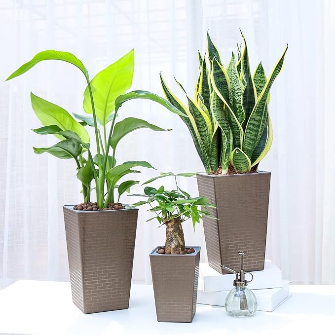 2 Pack Self Watering Planters 10.7" x 6.9" Planter - Image 2
