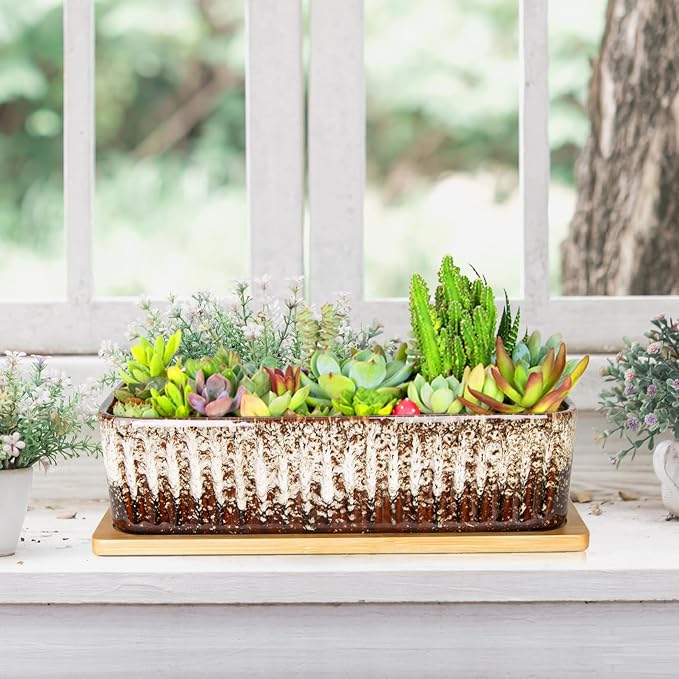 Succulent Pots - 12 Inch Large Succulent Planters - Image 6