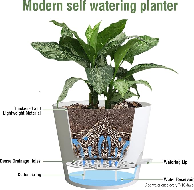 12 inch Large Self Watering Pots - Image 4