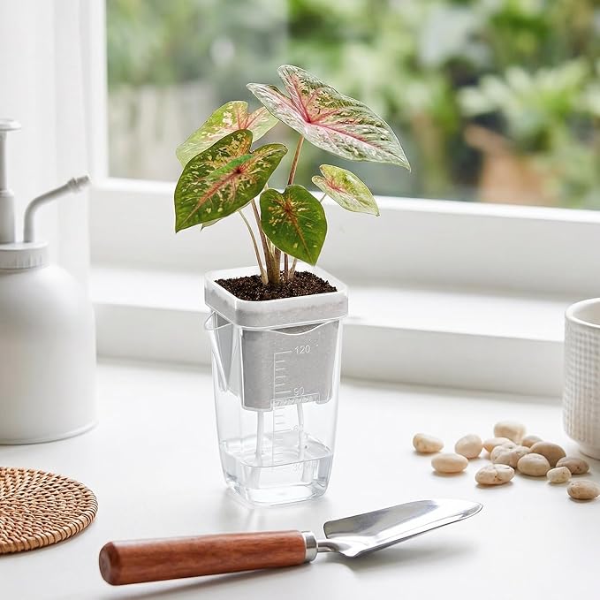 QCQHDU 2 Inch Mini Self Watering Pots - Image 3