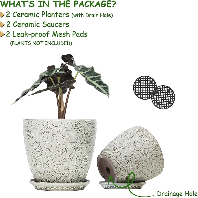 8 Inch + 6 Inch Retro Ceramic Planter Set of 2 - Image 2