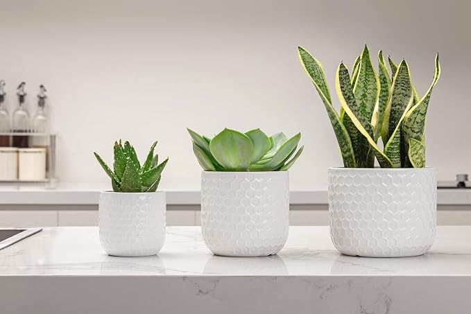 Docrin Plant Pots Indoor with Drainage: 6.4+5.3+4 Inch Ceramic Flower Pots - Image 8