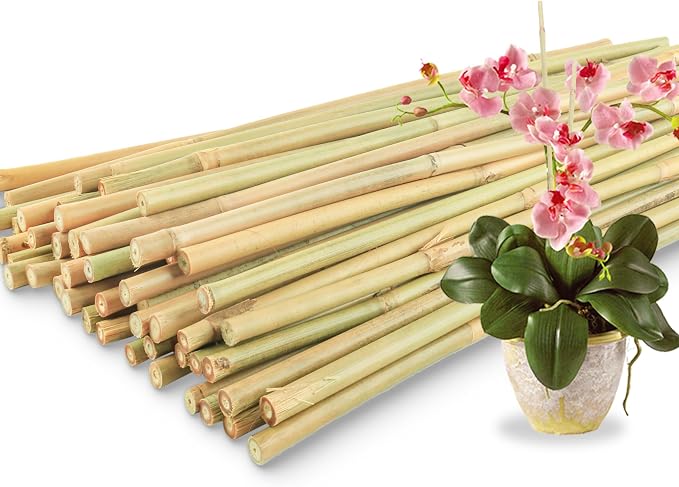 50Pcs / 18 inch Bamboo Plant Stakes by Avalution