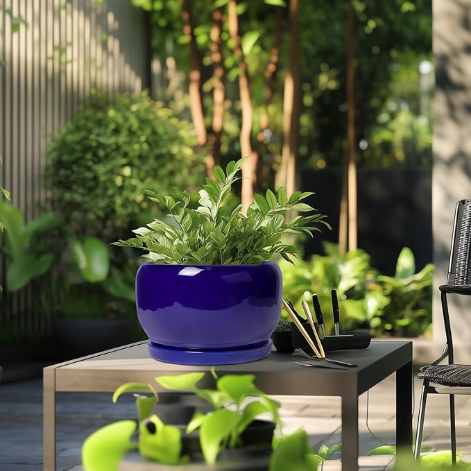 SQOWL Ceramic Plant Pot - Image 5