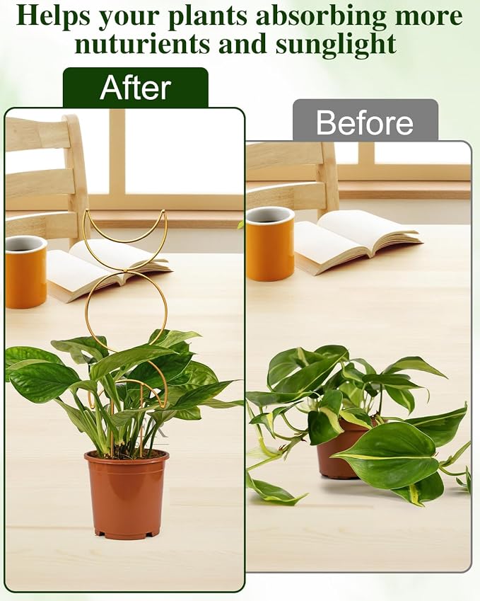 4 Pack Trellis for Climbing Plant Indoor, Small Metal Garden Trellis for Potted - Image 2