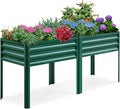 KING BIRD Raised Garden Bed by KINGBIRD