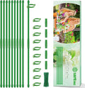 Plant Support Stakes for Indoor SupKing Orchid Sticks by SupKing