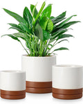 vancasso Ceramic Plant Pots, 3 Piece Planters by vancasso