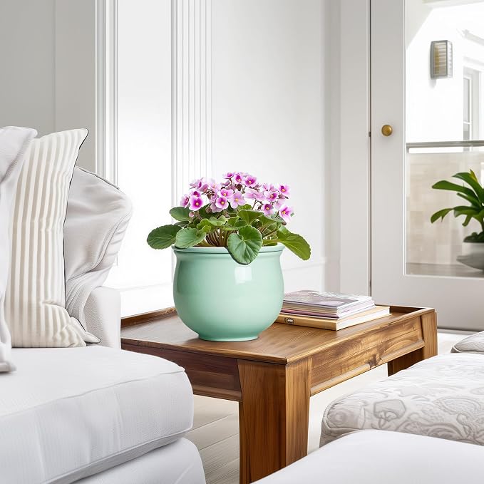 6 Inch African Violet Pots, Ceramic Self Watering Planter - Image 6