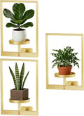 Wall Hanging Plant Stands Planter Shelves, Indoor Outdoor Window Plant Hanger by Unknown