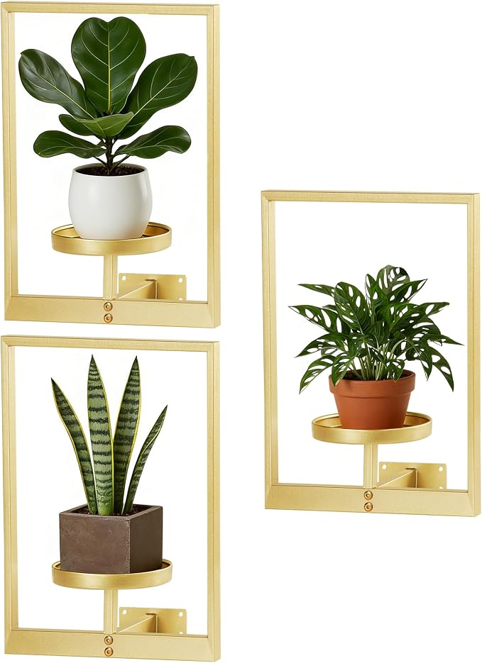 Wall Hanging Plant Stands Planter Shelves, Indoor Outdoor Window Plant Hanger by Unknown