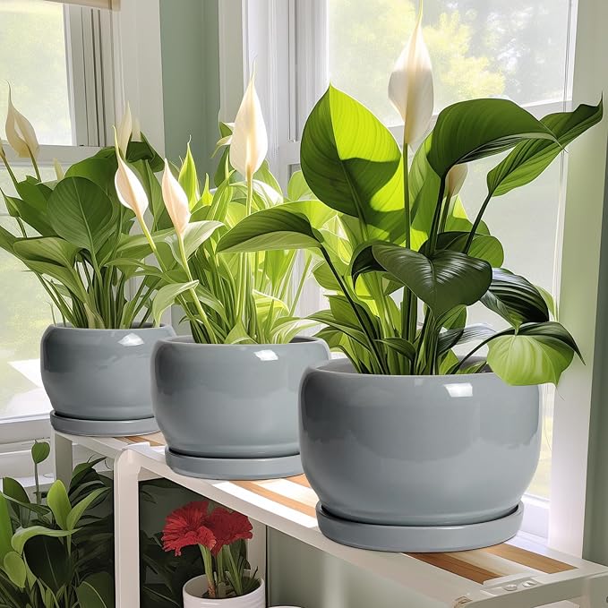 SQOWL 10 Inch Plant Pot - Image 6