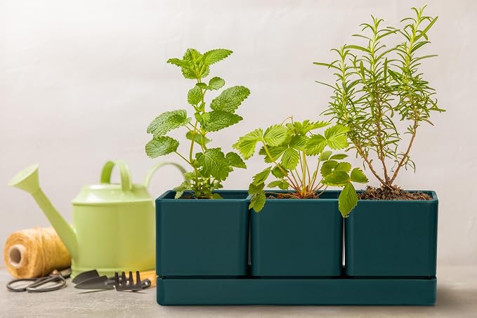D'vine Dev Herb Garden Planter Set, Plastic Plant Pots - Image 7