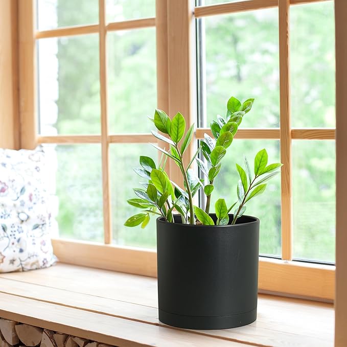 8 Inch Medium Plant Pots for Indoor Outdoor Plants, Cylinder Deep Flower Pots - Image 4
