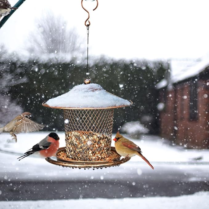 Bird Feeders for Outdoors, Heavy Duty Metal Wild Finch Feeder for Sparrow - Image 2