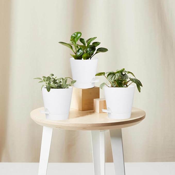 5 Pack 5 inch Self-Watering Pots, African Violets Planter - Image 8