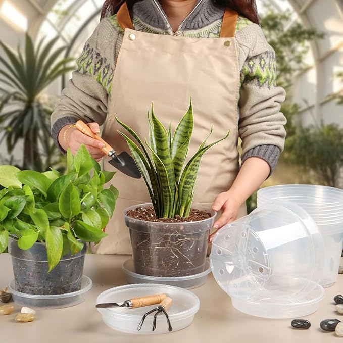 12 Pack 7 Inch Clear Nursery Pots - Image 5