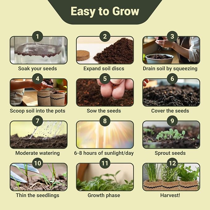 10 Herb Garden Planter Indoor Kit, Soil Discs, Gardening Tools, Unique - Image 4