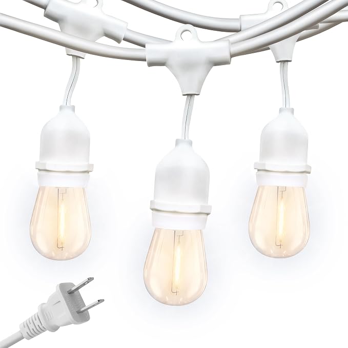 Brightech Ambience Pro Waterproof LED Outdoor String Lights, 48 Ft, Dimmable by Brightech