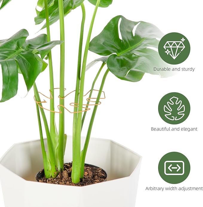 6PCS Iron Monstera Plant Support, Uniquely Designed Indoor Plant Accessories - Image 4