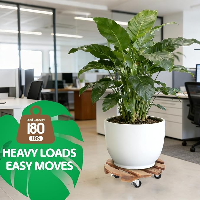 2 Pack Plant Stand with Wheels, Plant Caddies with 360° Lockable Smooth Sliding - Image 4