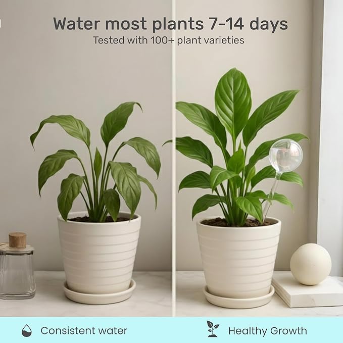 Automatic Plant Watering Globes Self Watering Planter Inserts | Hands Free - Image 3