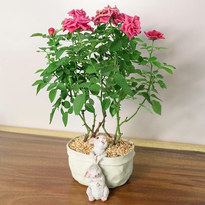 Rabbit Flower Pot Succulent Planter Garden Pots, Easter Decorative Flower Pot - Image 3