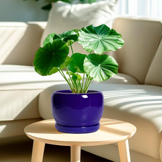 SQOWL 8 Inch Plant Pot - Image 2