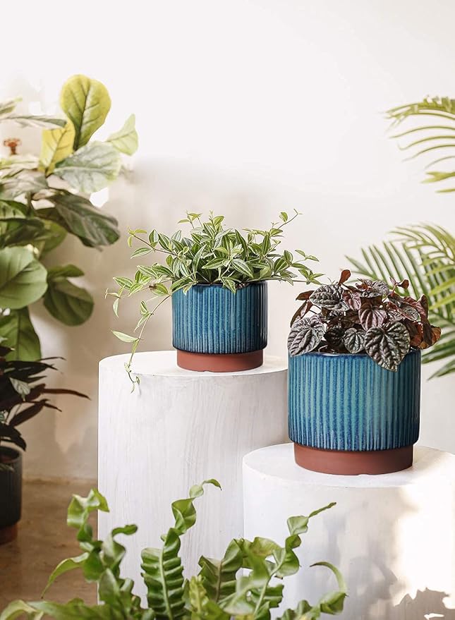 LE TAUCI Ceramic Plant Pots - Image 3
