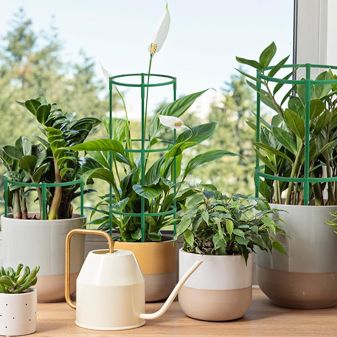 36 Packs Plant Support Stake, Half Round Stackable 3 Tier Garden Flower Support - Image 7