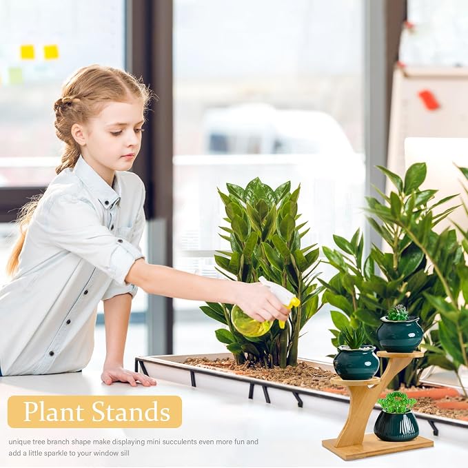XXXFLOWER Bamboo Plant Stand, 3 Tiers Indoor Succulent Windowsill Shelf - Image 7