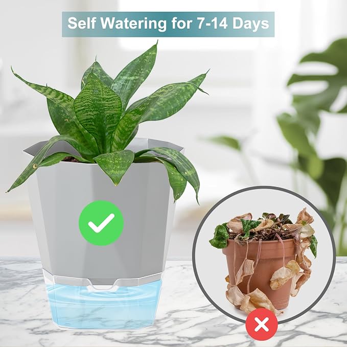3 Pack Self Watering Planter Pots, 4.9 Inch African Violet Pots - Image 5